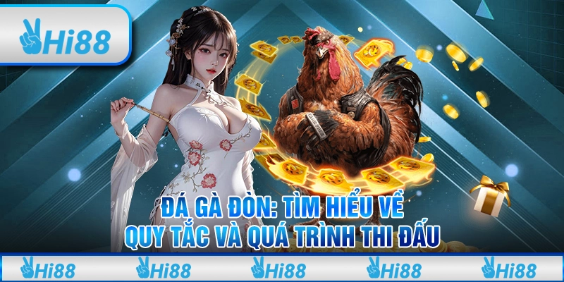 Đá gà đòn: Tìm hiểu về quy tắc và quá trình thi đấu