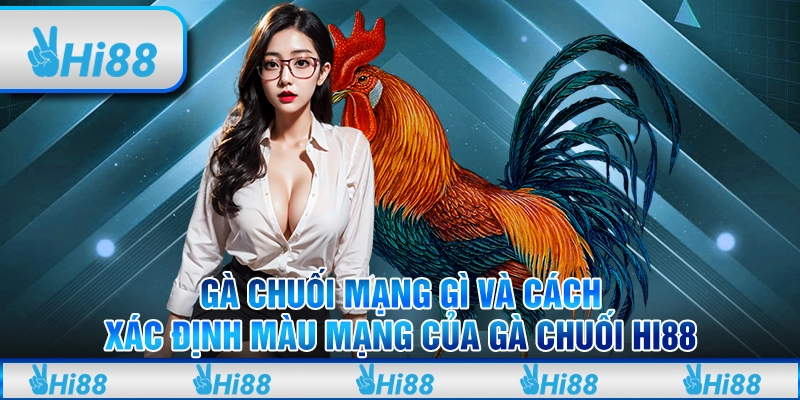 Gà Chuối Mạng Gì Và Cách Xác Định Màu Mạng Của Gà Chuối Hi88 