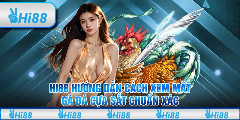 Hi88 Hướng Dẫn Cách Xem Mắt Gà Đá Cựa Sắt Chuẩn Xác
