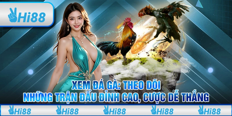 Xem đá gà: Theo dõi những trận đấu đỉnh cao, cược dễ thắng