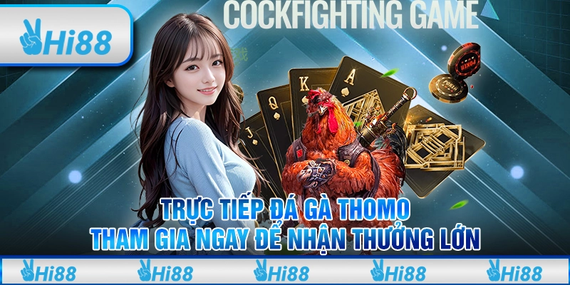 Trực tiếp đá gà Thomo: Tham gia ngay để nhận thưởng lớn