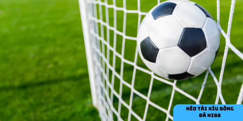 Phân tích trận đấu kỹ lưỡng giúp tăng tỷ lệ thắng.