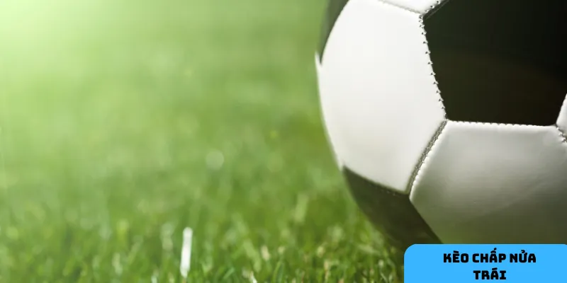 Phân tích phong độ giúp chọn đội hợp lý.