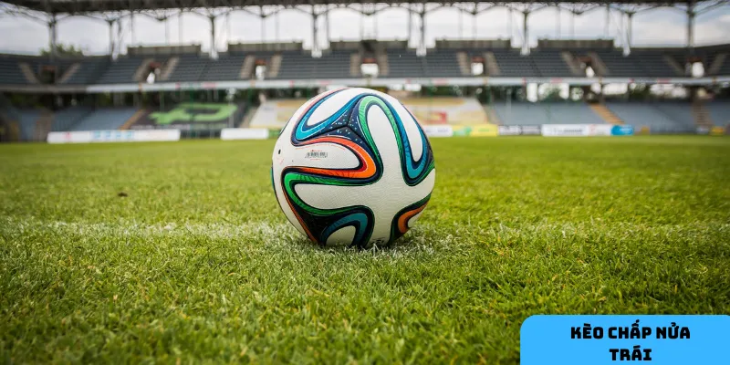 Đội cửa dưới có thể gây bất ngờ.