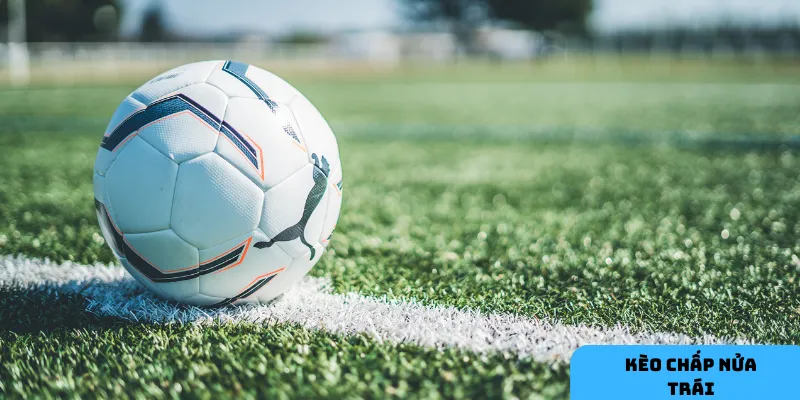 Kèo chấp nửa trái mang lại sự rõ ràng.