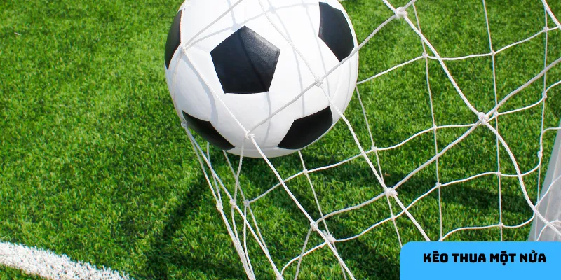 Sơ lược về loại kèo thua 0.5