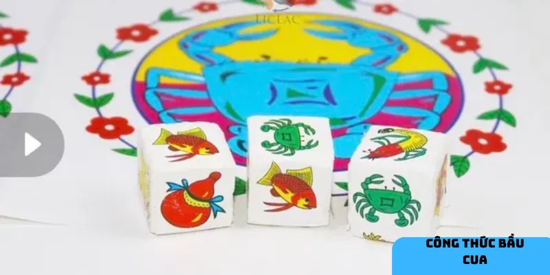 Đưa ra quyết định đặt cược hiệu quả