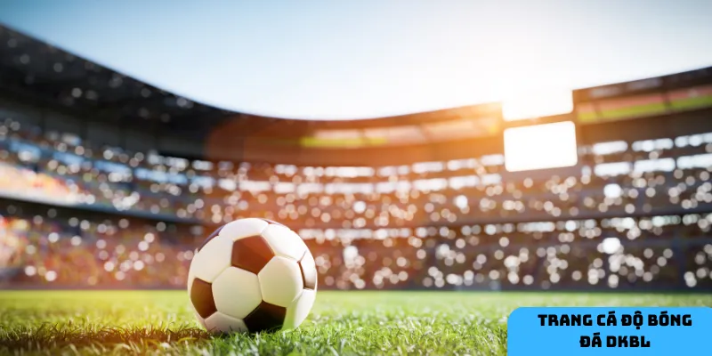 Ứng dụng di động mang lại sự tiện lợi.