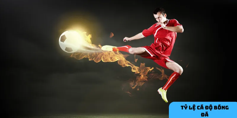 Tỷ lệ phổ biến mang đến cơ hội đặt cược đa dạng.