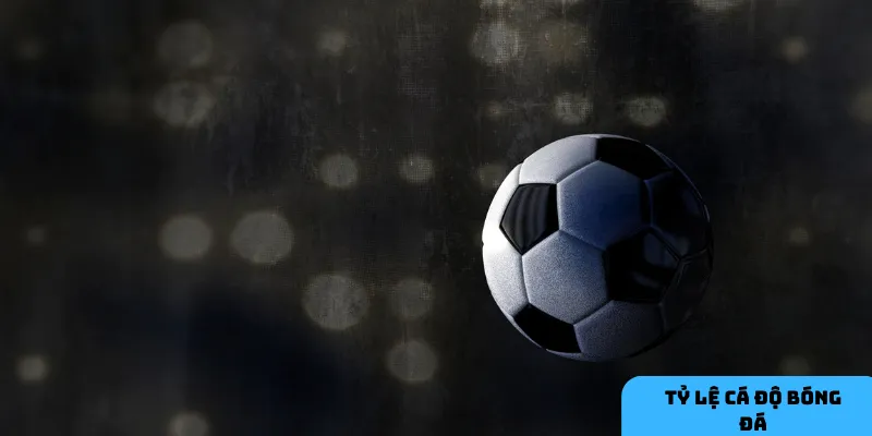 Cập nhật tỷ lệ mỗi ngày để bắt kịp thông tin mới nhất.