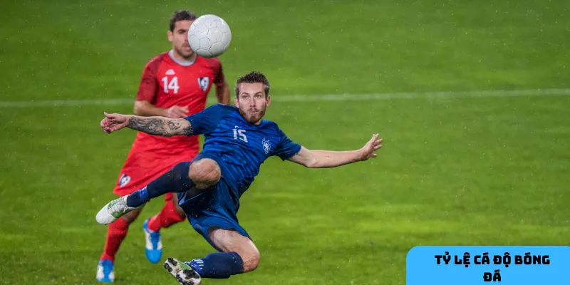 Tập trung vào trận đấu có thông tin rõ ràng.