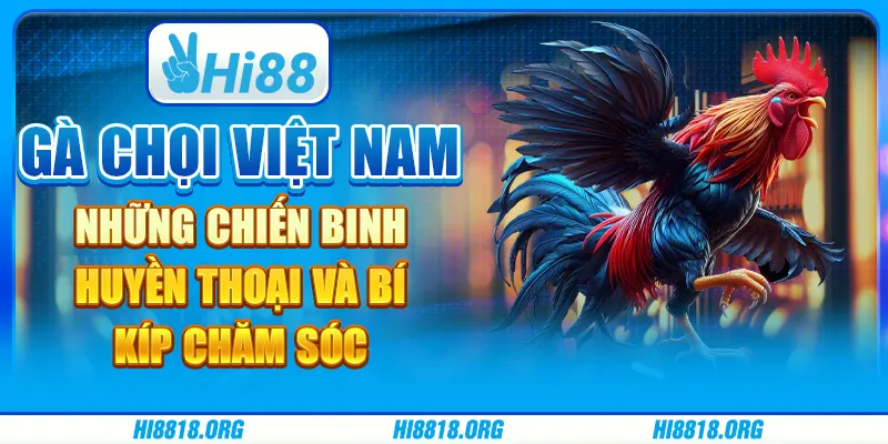 Gà chọi Việt Nam: những chiến binh huyền thoại và bí kíp chăm sóc