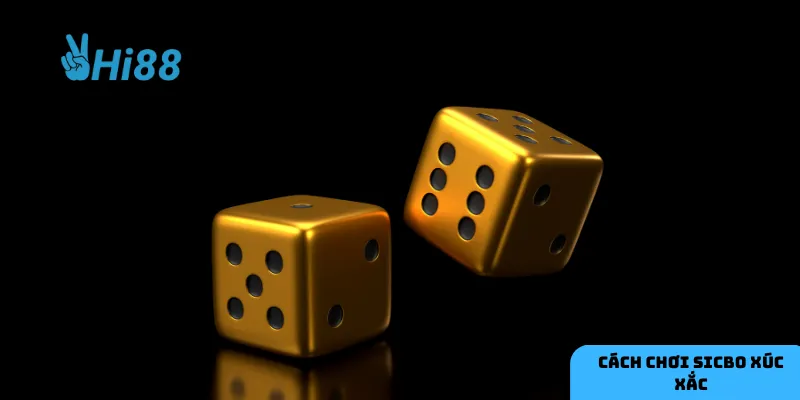 Mẹo chơi Sicbo xúc xắc hiệu quả