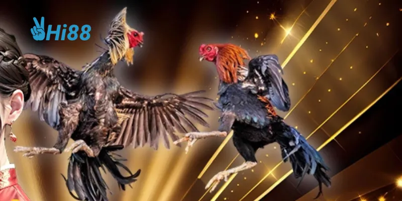 Trải nghiệm cực đã cho dân chơi