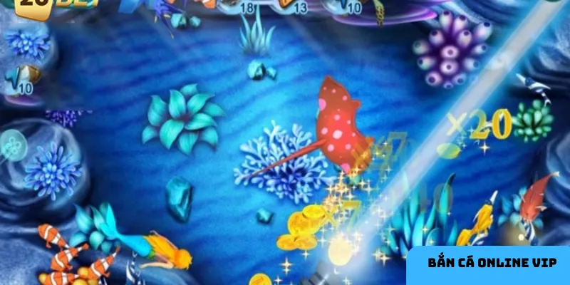 Quan sát mục tiêu trước khi bắn.