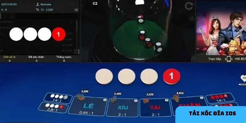 Chơi xóc đĩa trên iOS mở ra thế giới giải trí đầy mới lạ và hấp dẫn.