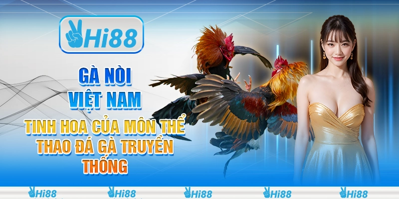 Gà nòi Việt Nam: Tinh hoa của môn thể thao đá gà truyền thống