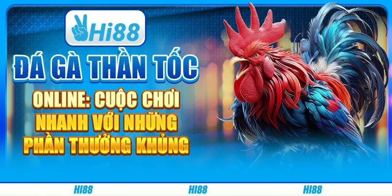 Đá gà thần tốc online: Cuộc chơi nhanh với những phần thưởng khủng