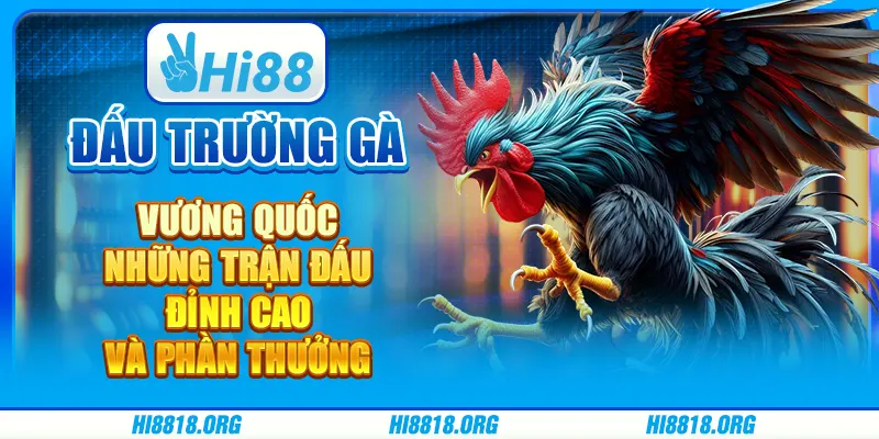 Đấu trường gà vương quốc: những trận đấu đỉnh cao và phần thưởng