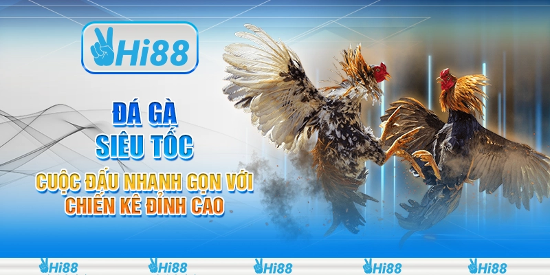 Đá gà siêu tốc – Cuộc đấu nhanh gọn với chiến kê đỉnh cao