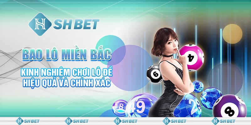 Bao Lô Miền Bắc