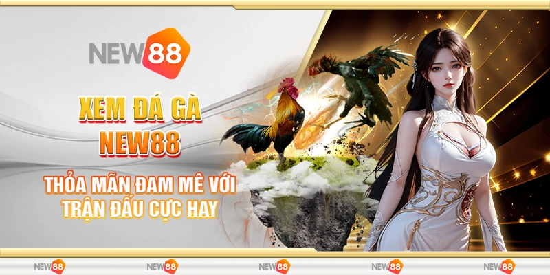 Xem Đá Gà New88 - Thỏa Mãn Đam Mê Với Trận Đấu Cực Hay