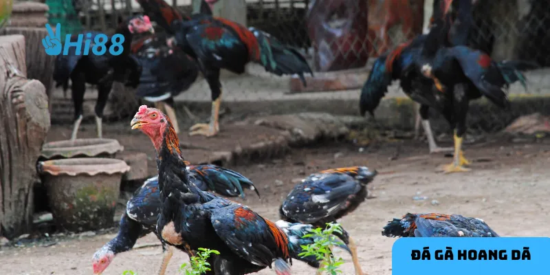 Những huyền thoại là nguồn cảm hứng bất tận.