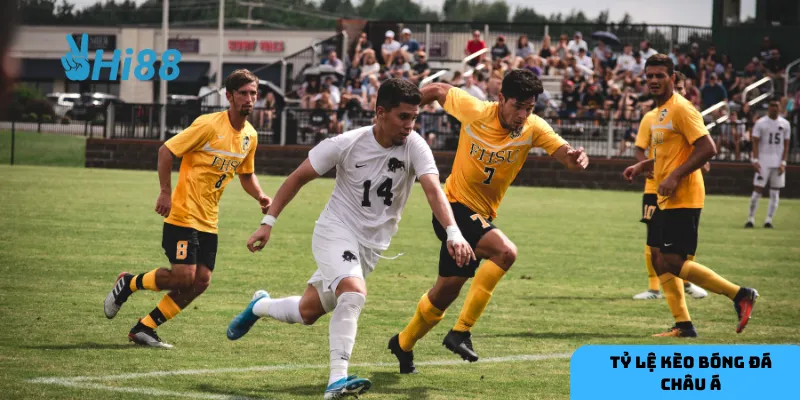 Chọn kèo hợp lý là cách giảm thiểu rủi ro và tăng cơ hội thắng.