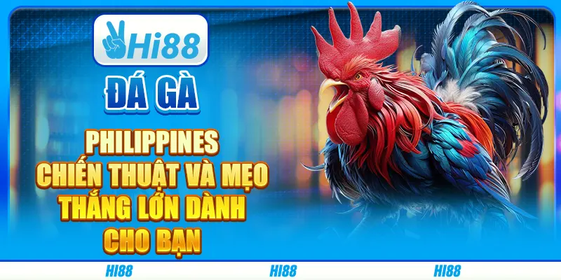 Đá Gà Philippines: Chiến Thuật Và Mẹo Thắng Lớn Dành Cho Bạn