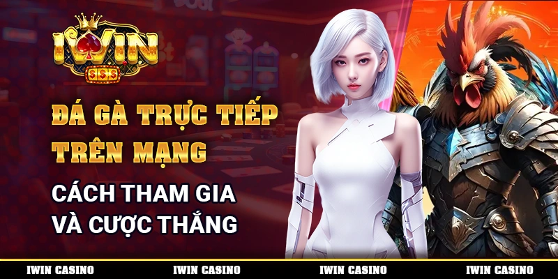 Đá Gà Trực Tiếp Trên Mạng - Cách Tham Gia Và Cược Thắng